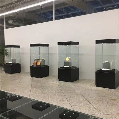 Kliima{0}}kontrollitud muuseumikohver