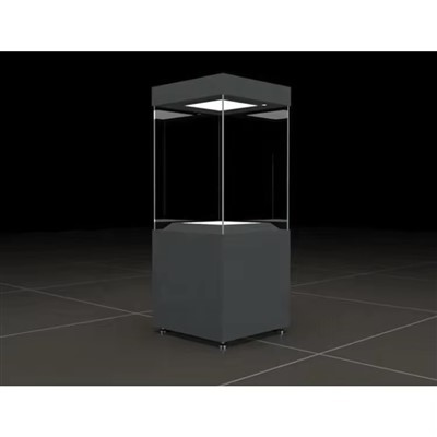 Muuseum Vitrine